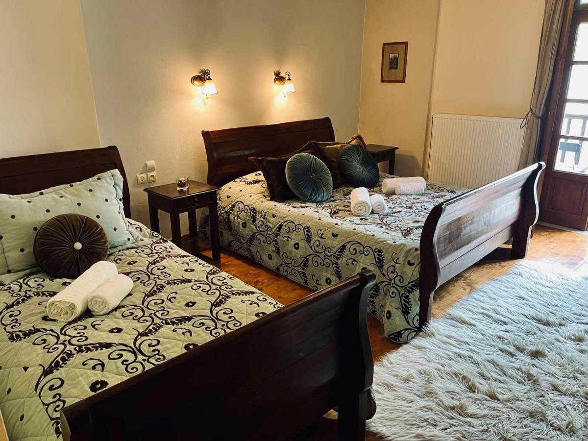Giagia Evgenia Hotel Vitsa Ngoại thất bức ảnh