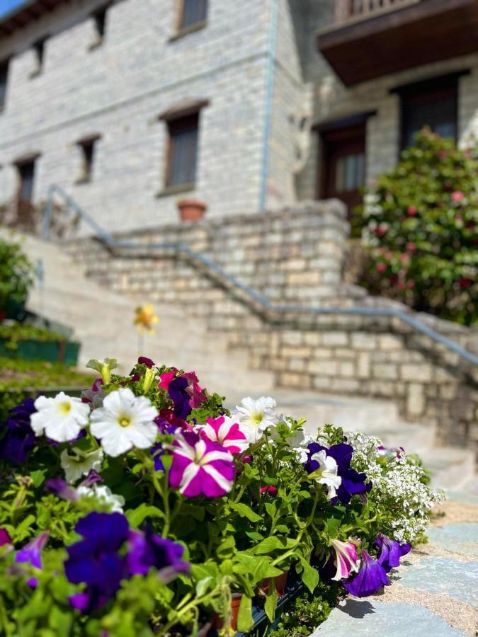 Giagia Evgenia Hotel Vitsa Ngoại thất bức ảnh